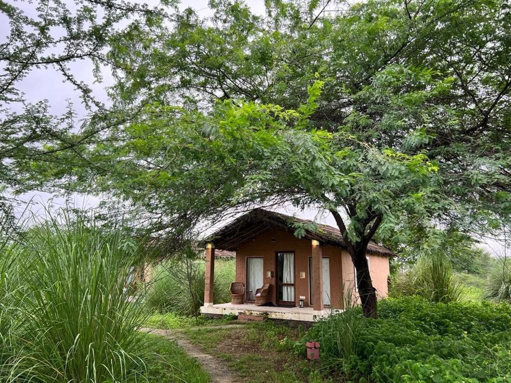 Camp Lands End Hotell Pushkar Eksteriør bilde