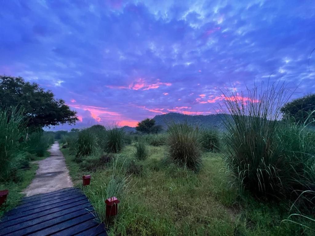 Camp Lands End Hotell Pushkar Eksteriør bilde